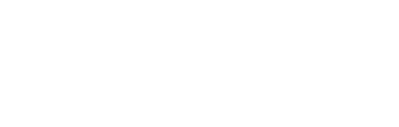 Clean website design reversed logo