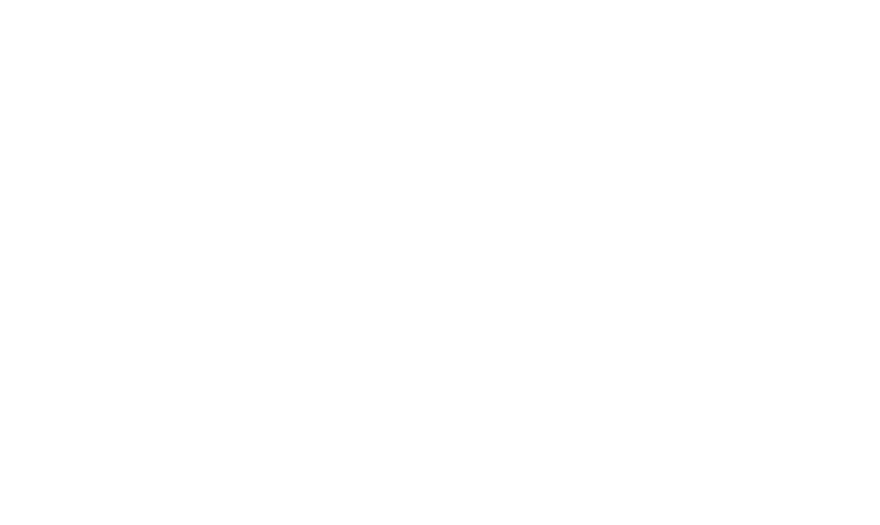 Custom website design reversed logo image