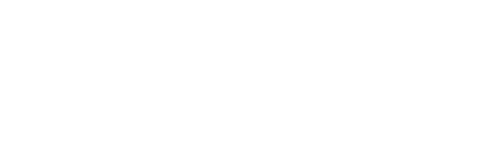 Popular website design reversed logo