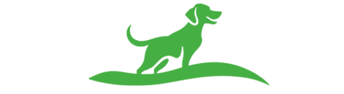 Vibrant dog walker website design logo