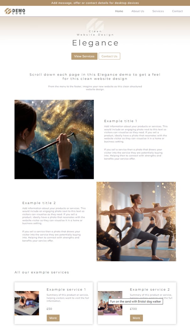 Elegance website design packages for sale